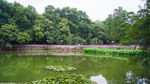 武汉大学