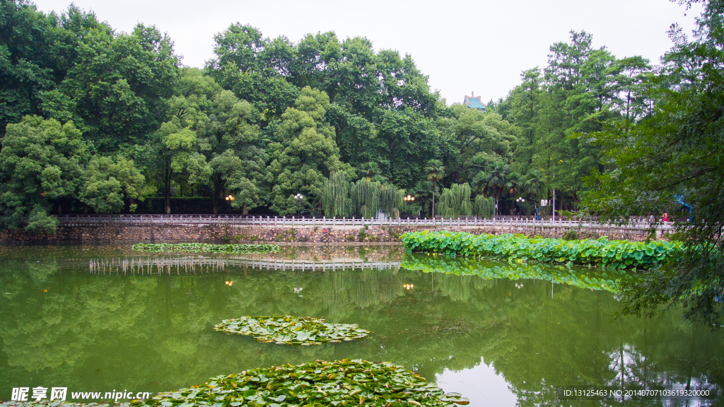 武汉大学