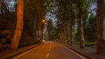 武汉大学