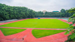 武汉大学