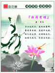 荷花展  古典 李白