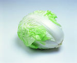 白菜 蔬菜