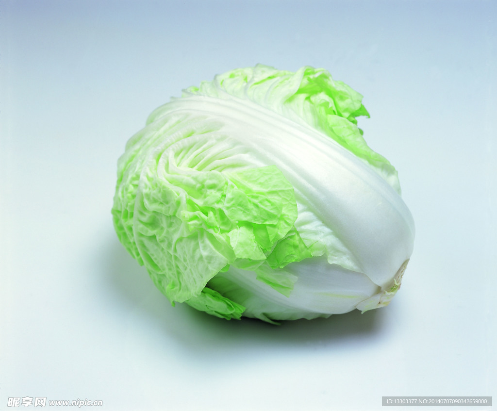 白菜 蔬菜