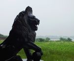 狮子雄风