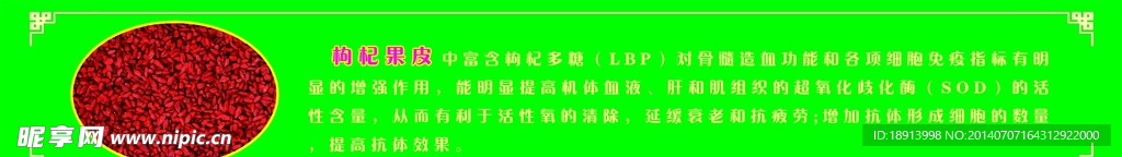 枸杞