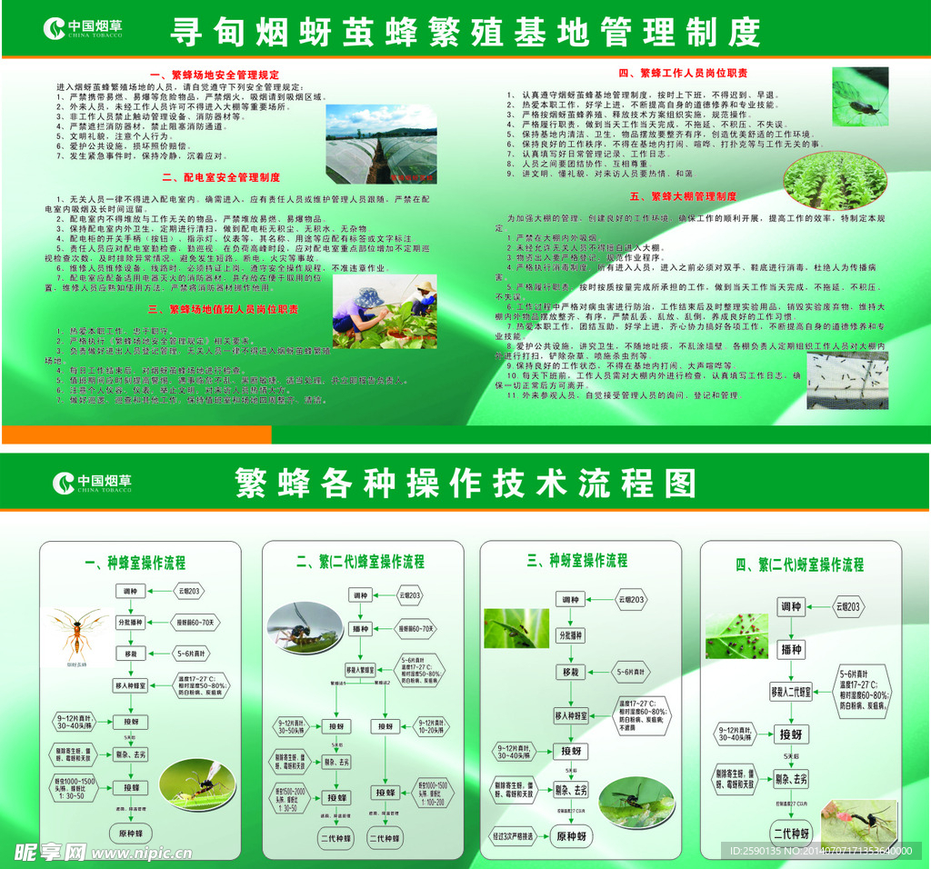 寻甸烟蚜茧蜂繁殖基地