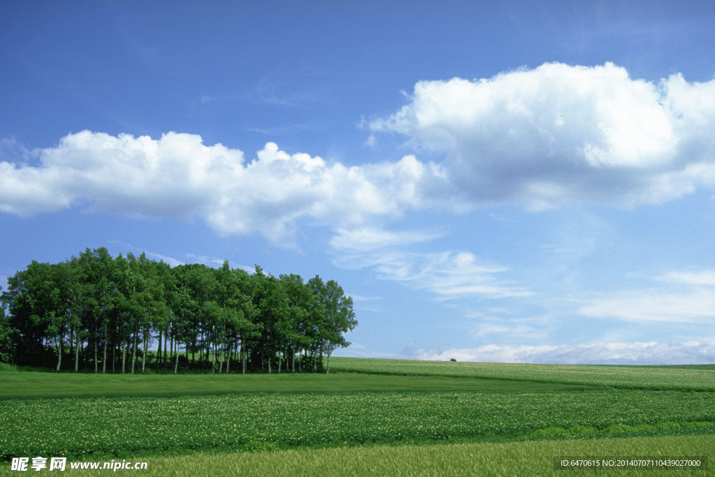 原野天空