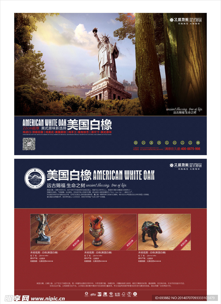 美国白橡