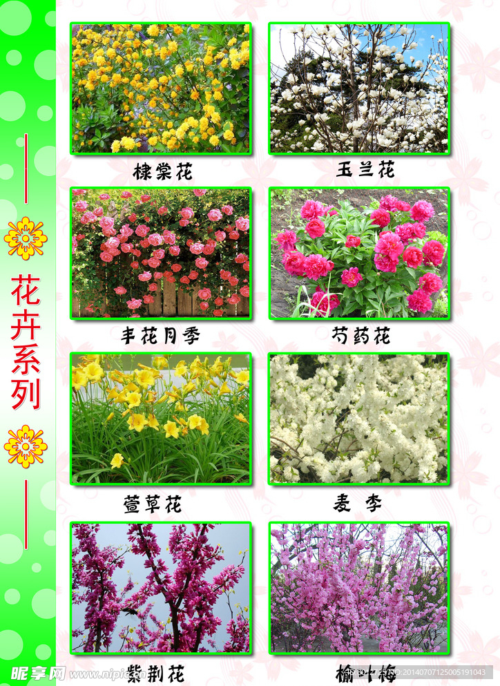 庭院花草