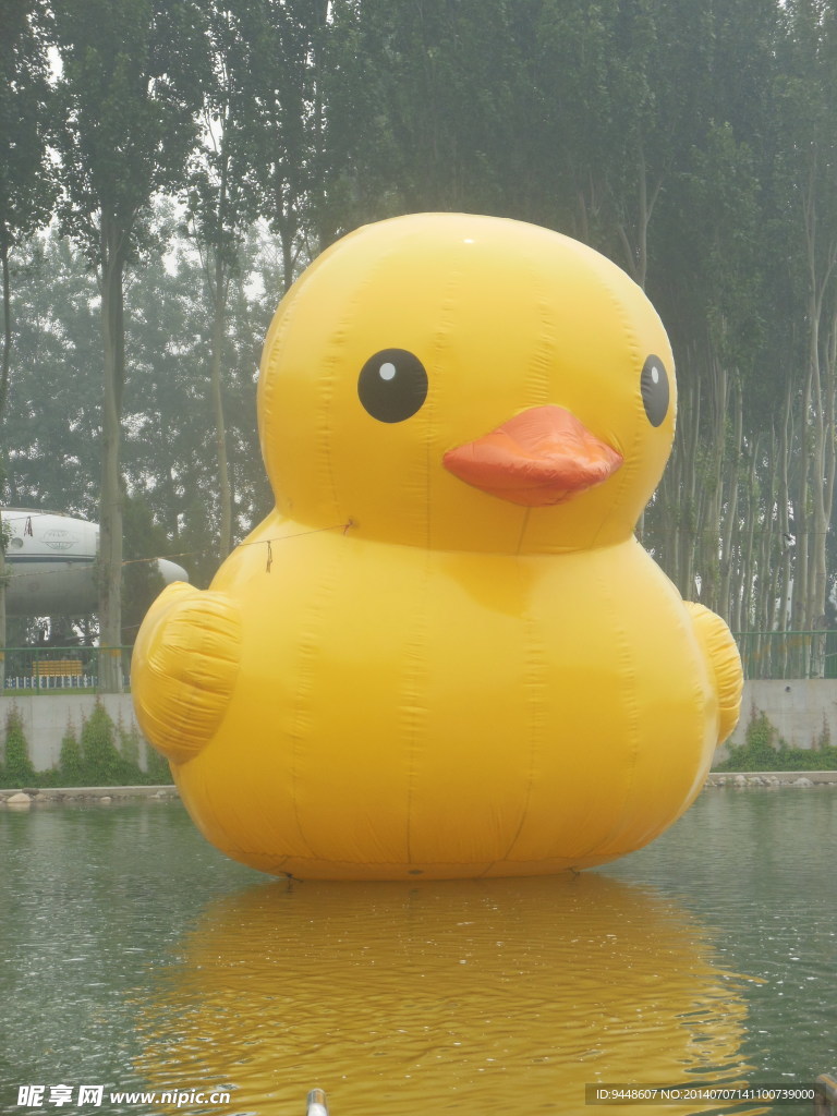 大黄鸭