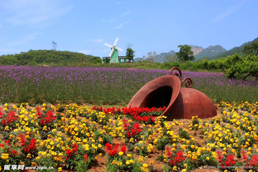 薰衣草庄园风景