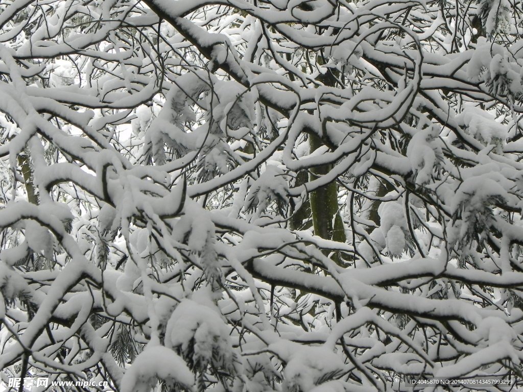 大自然雪景