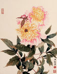 花卉国画