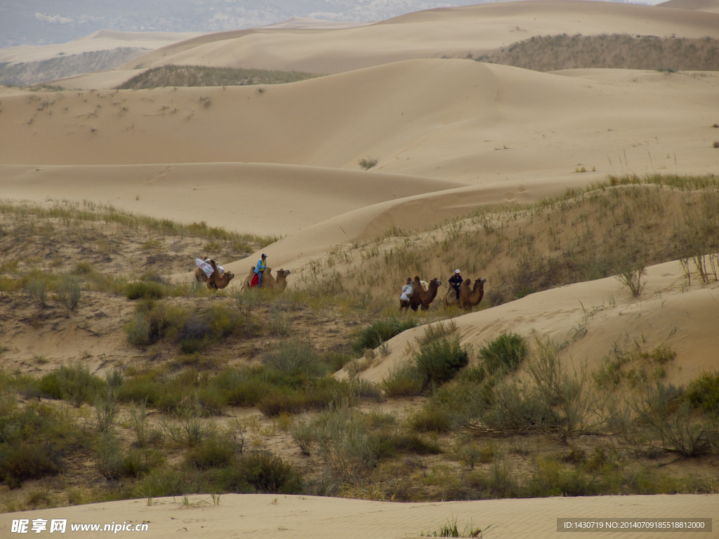 沙漠中远行的驼队
