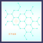 分子