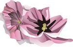 花