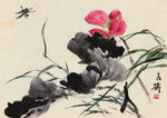 红荷蜻蜓