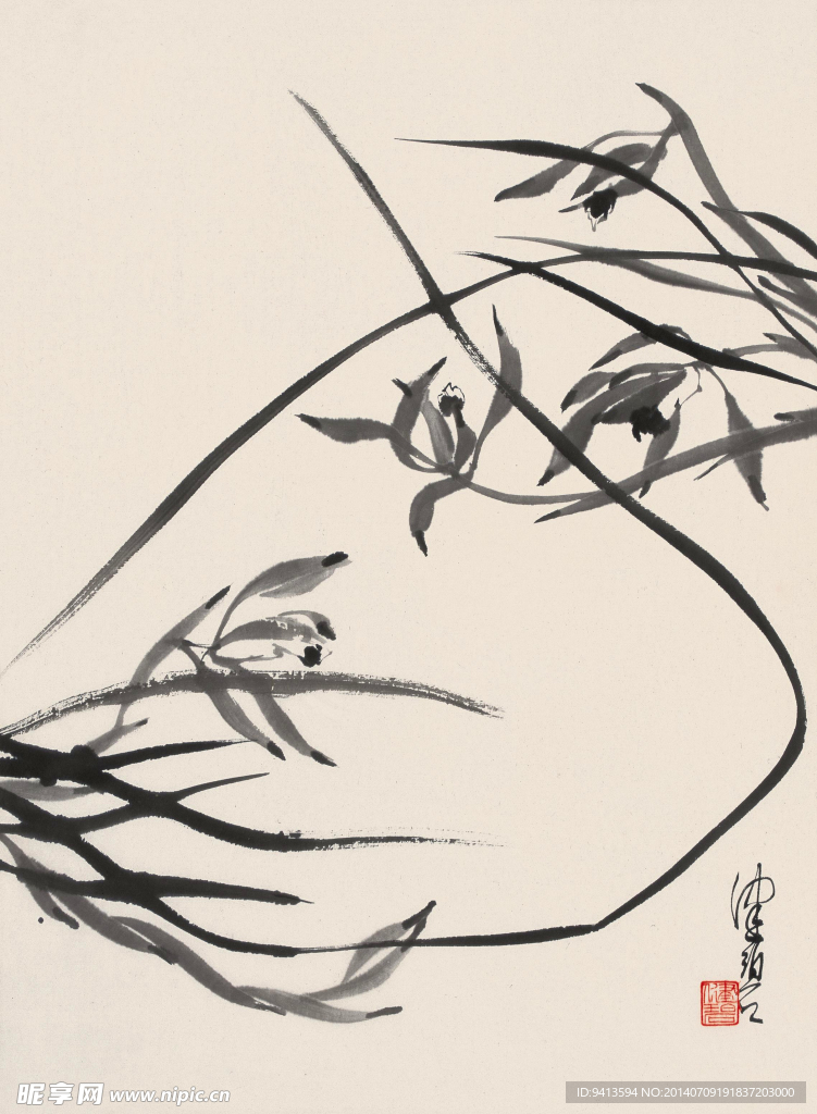 兰花