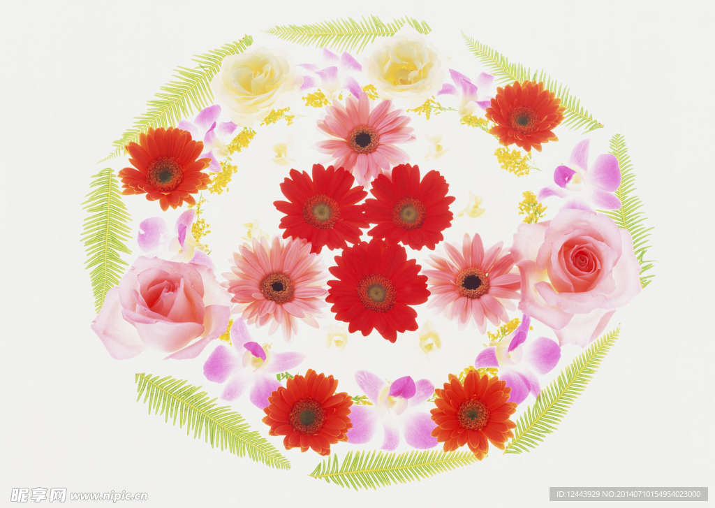 花瓣