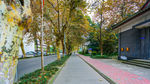 四川大学