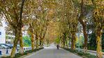 四川大学