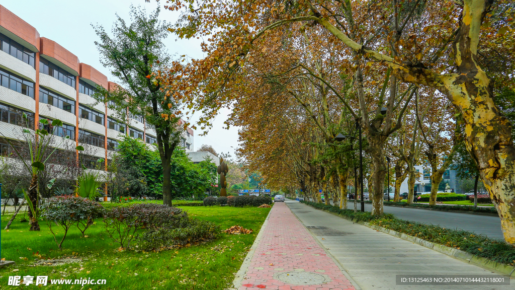 四川大学