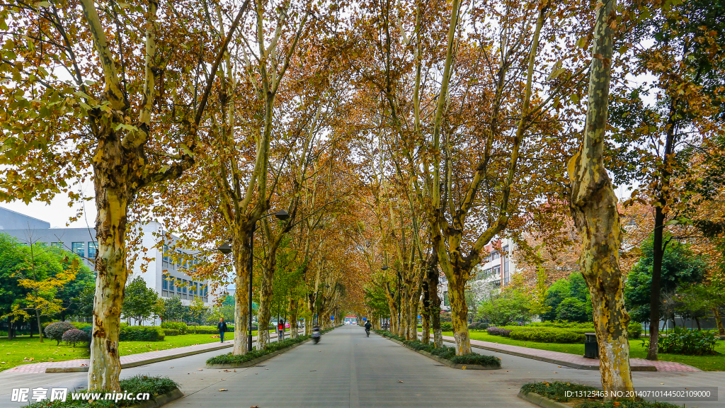 四川大学