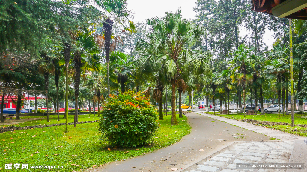 四川大学
