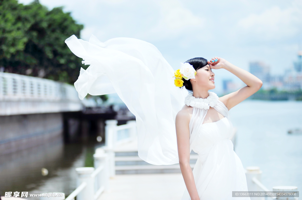 美女写真