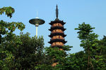龙华公园