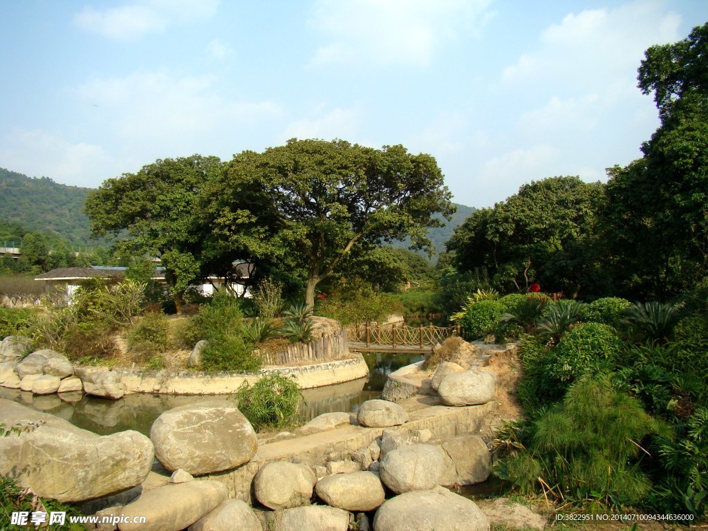 萝岗香雪公园