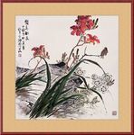 兰花