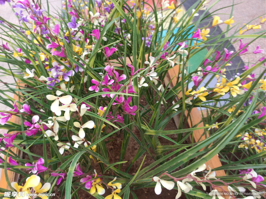城市绿化塑料花