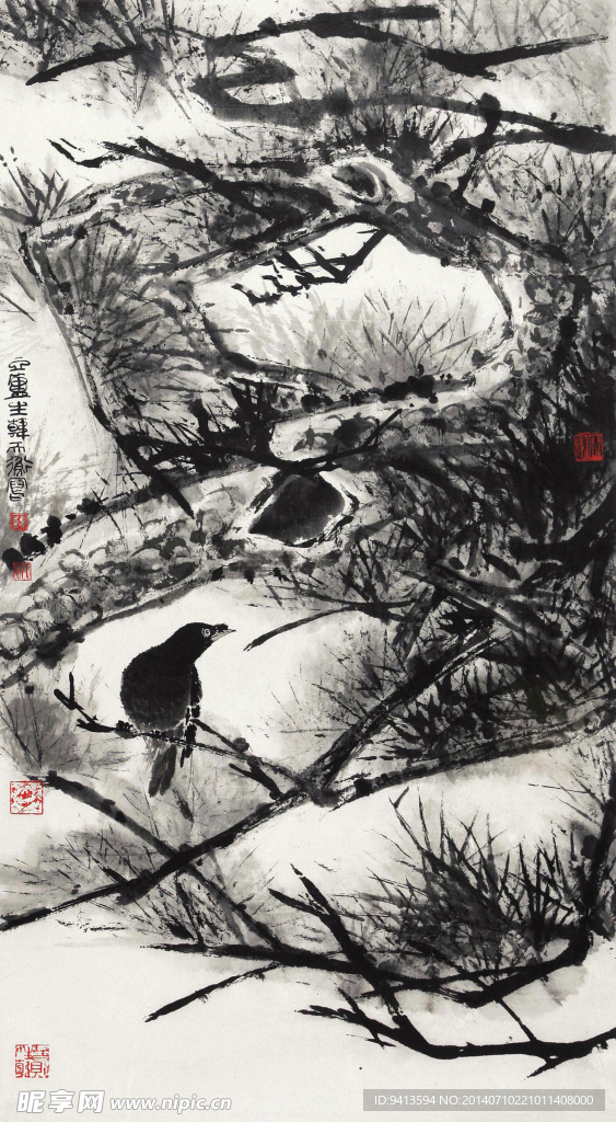松树八哥