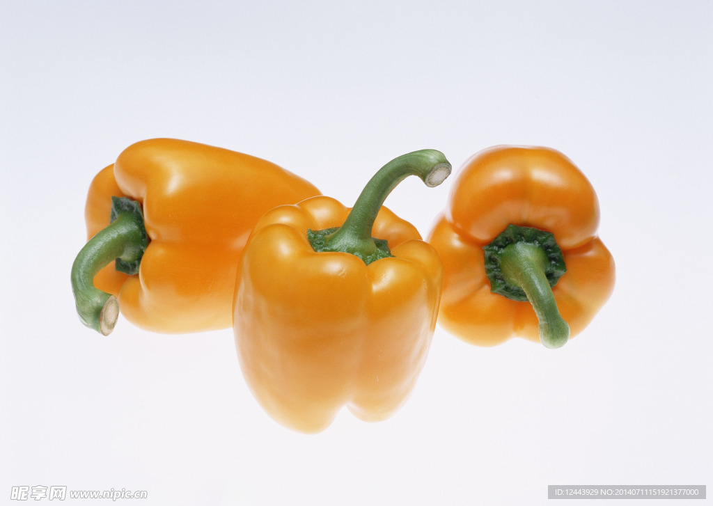 蔬菜