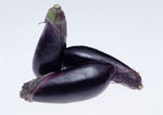 蔬菜