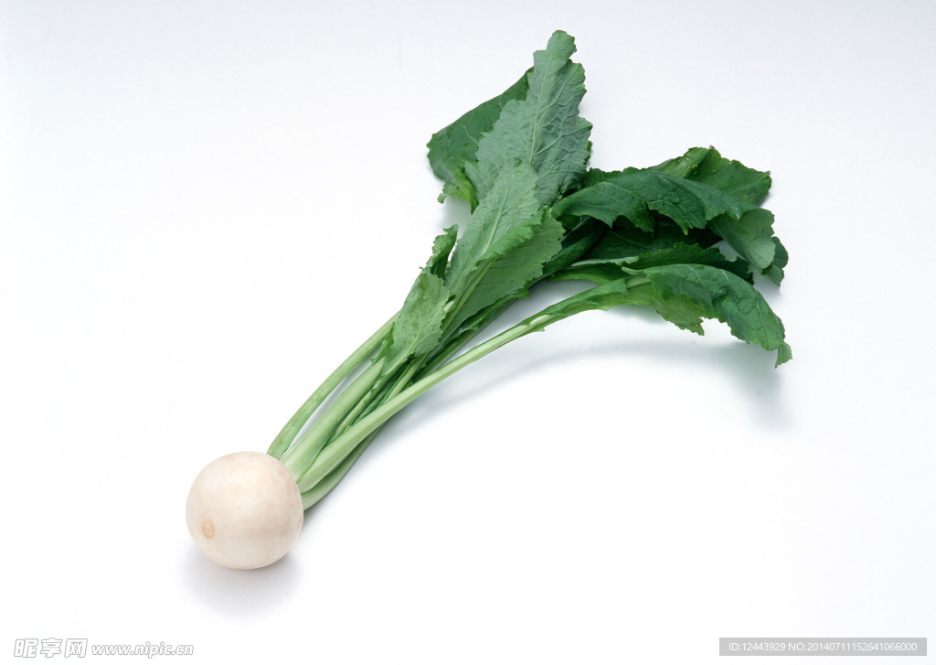 蔬菜
