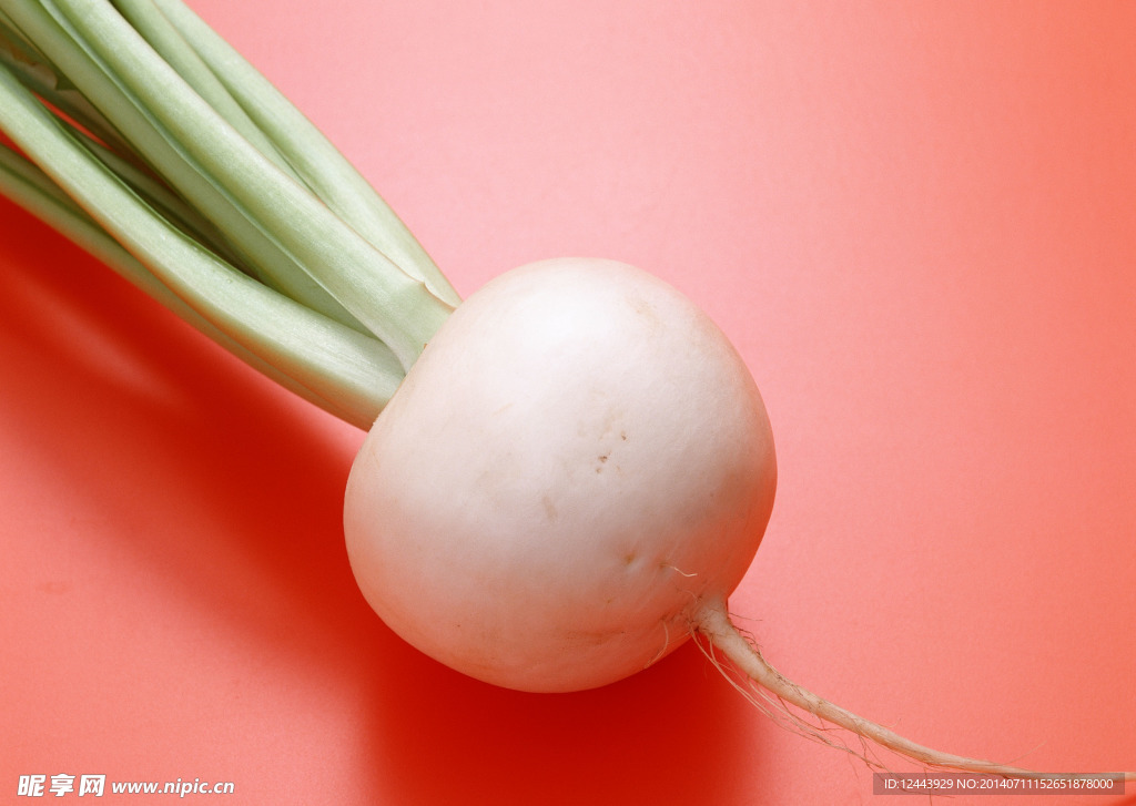 蔬菜