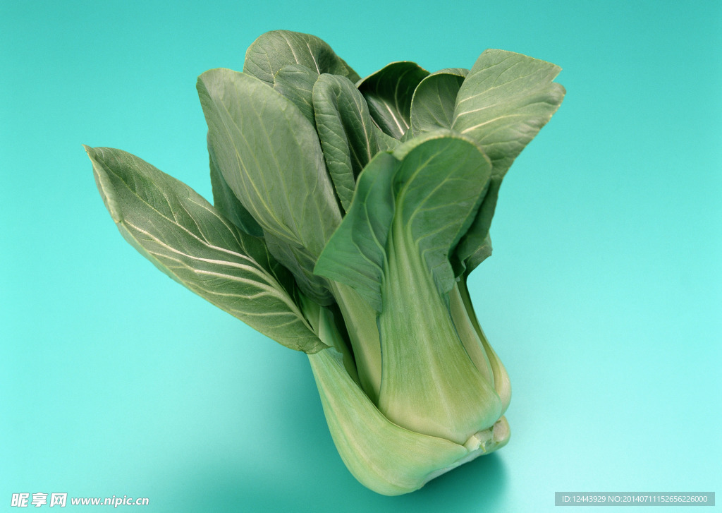 青菜