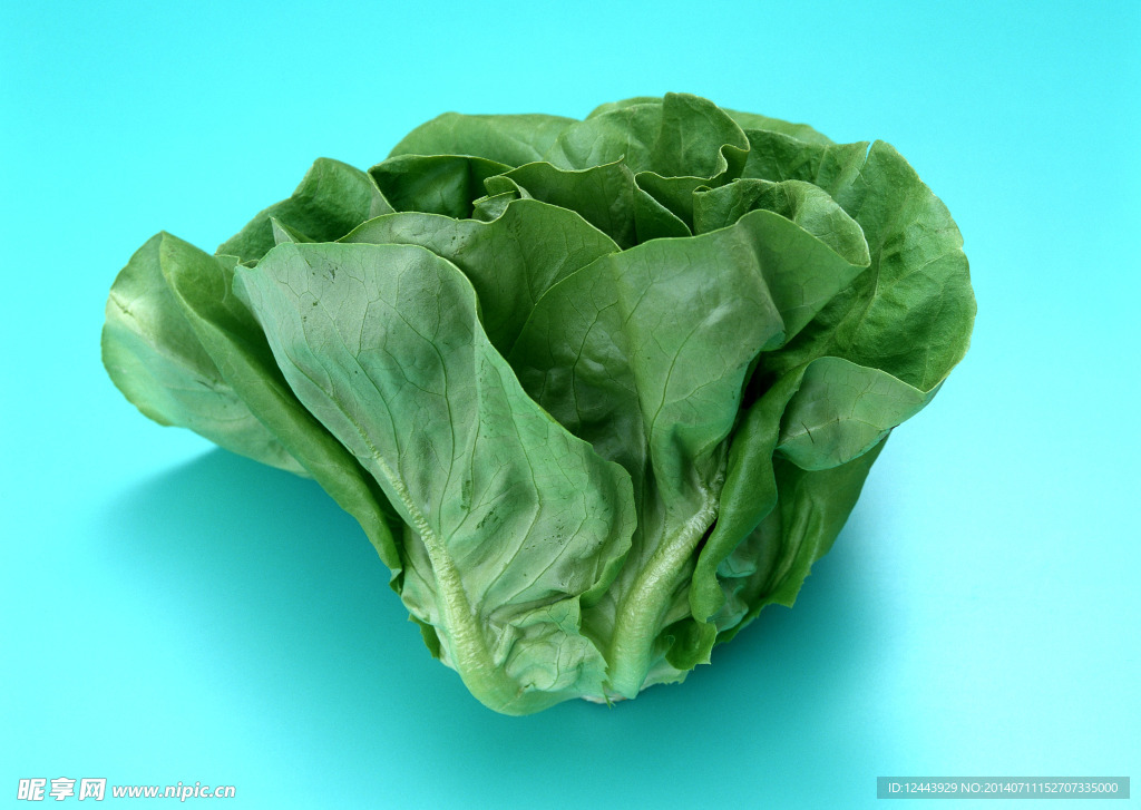 青菜
