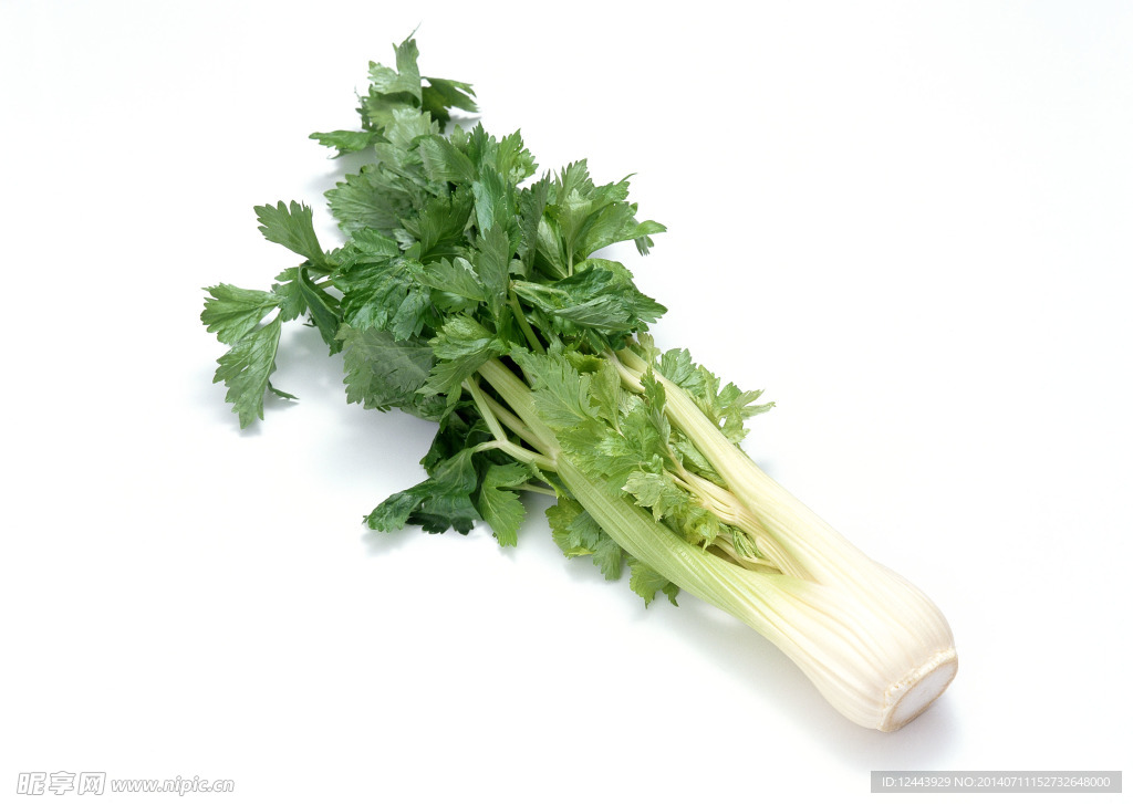 蔬菜