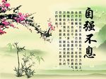 自强不自息
