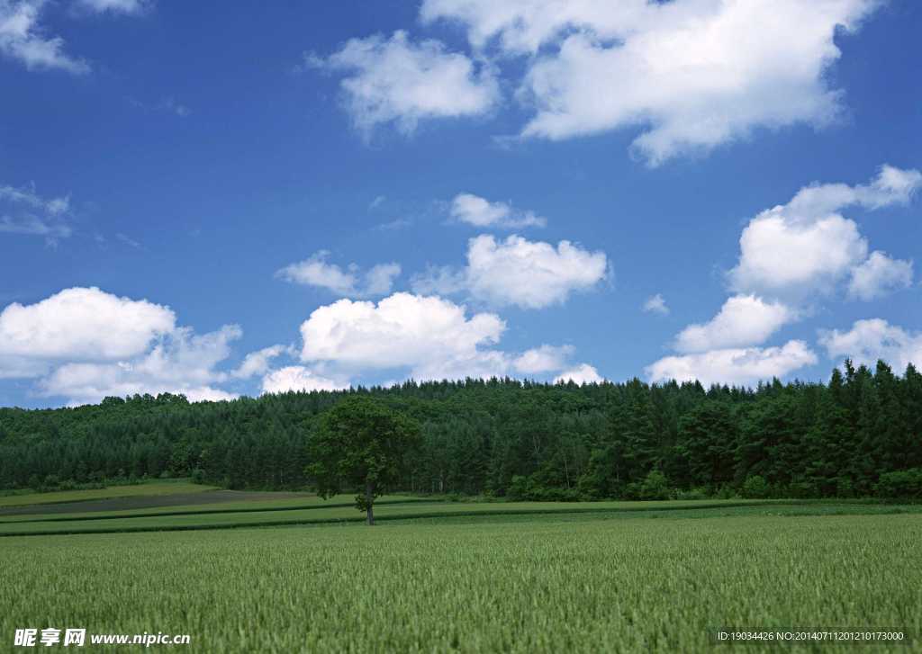 天空景观