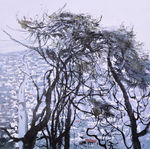 鲁迅故乡