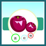 西红柿