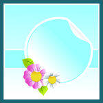 花纹