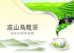 高山乌龙茶