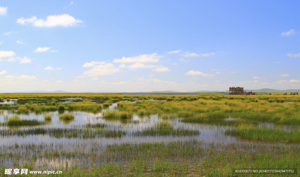 花湖沼泽