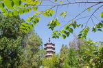 青檀寺 宝塔