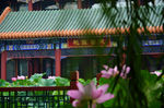 龙潭书院